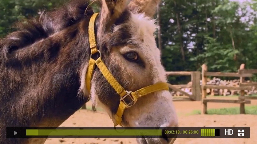 Screen shot 2014-10-01 at 13.08.30